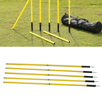 Training Poles Set